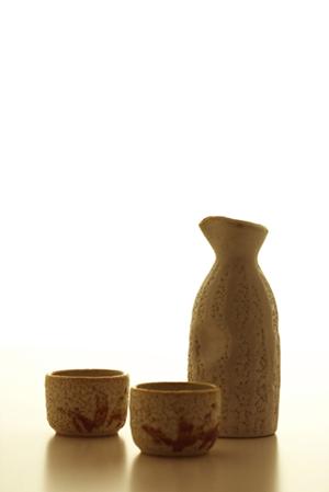 【2025年最新：TOKAIモバイルショップの全貌とお得なサービス情報】